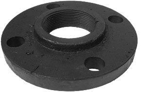 1" CI 125lb Companion Flange